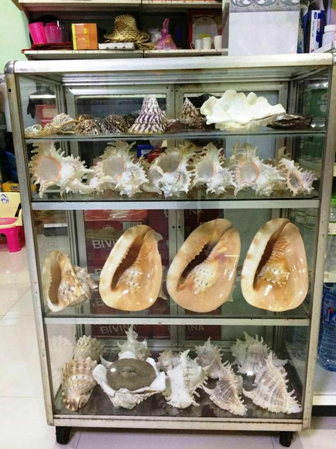 Y Thu Guesthouse Phú Quý Zewnętrze zdjęcie